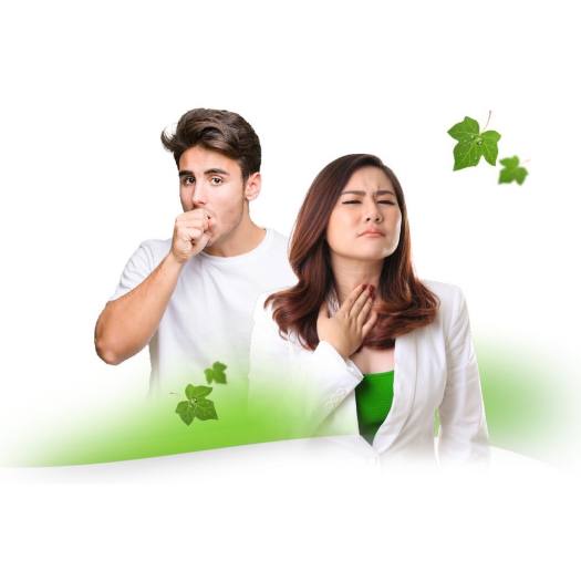 Viên ngậm ho, kẹo ngâm ho Eucatana,giảm đau rát họng, giảm ho, thành phần tự nhiên, an toàn hiệu quả - Loki store