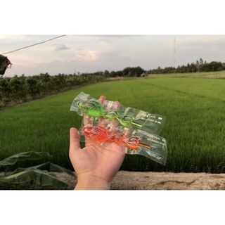 Thạch râu câu con cá tuổi thơ