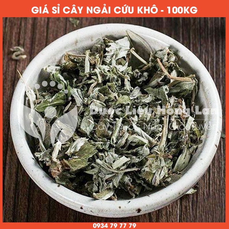 Cung cấp sỉ CÂY NGẢI CỨU khô giá bán 100kg - Công ty dược liệu Hồng Lan