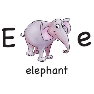 flashcard abcalphabet