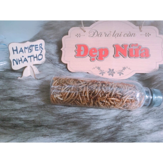 Sâu rang bơ siêu thơm cho hamster