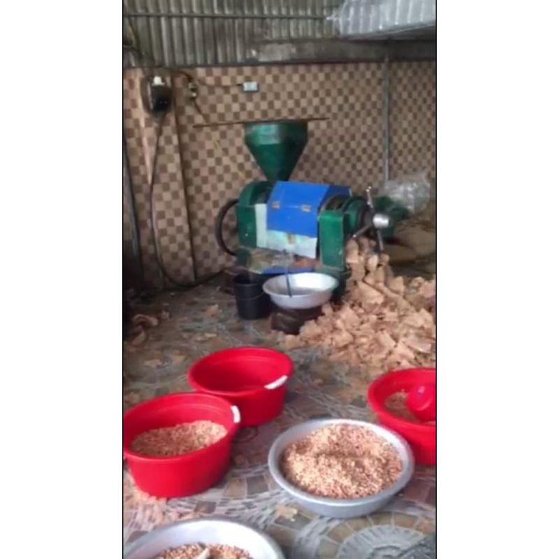 Dầu phộng nguyên chất , dầu lạc bao test