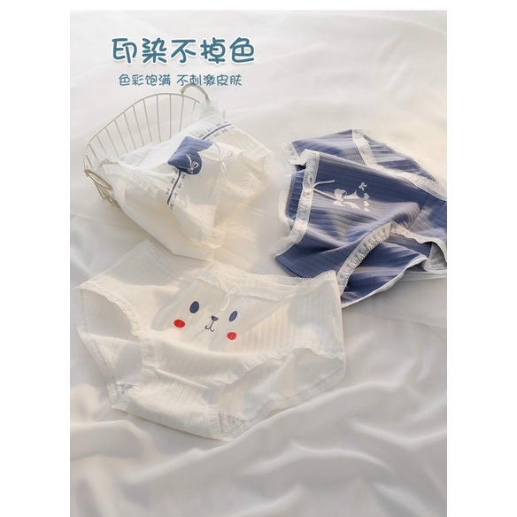 Set combo 5 quần xịp hình mudi cute phomai nhiều hình