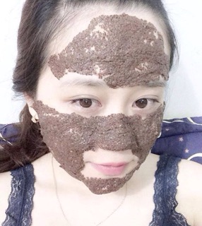 Hạt Thiên Niên Tử (Hạt tảo biển)