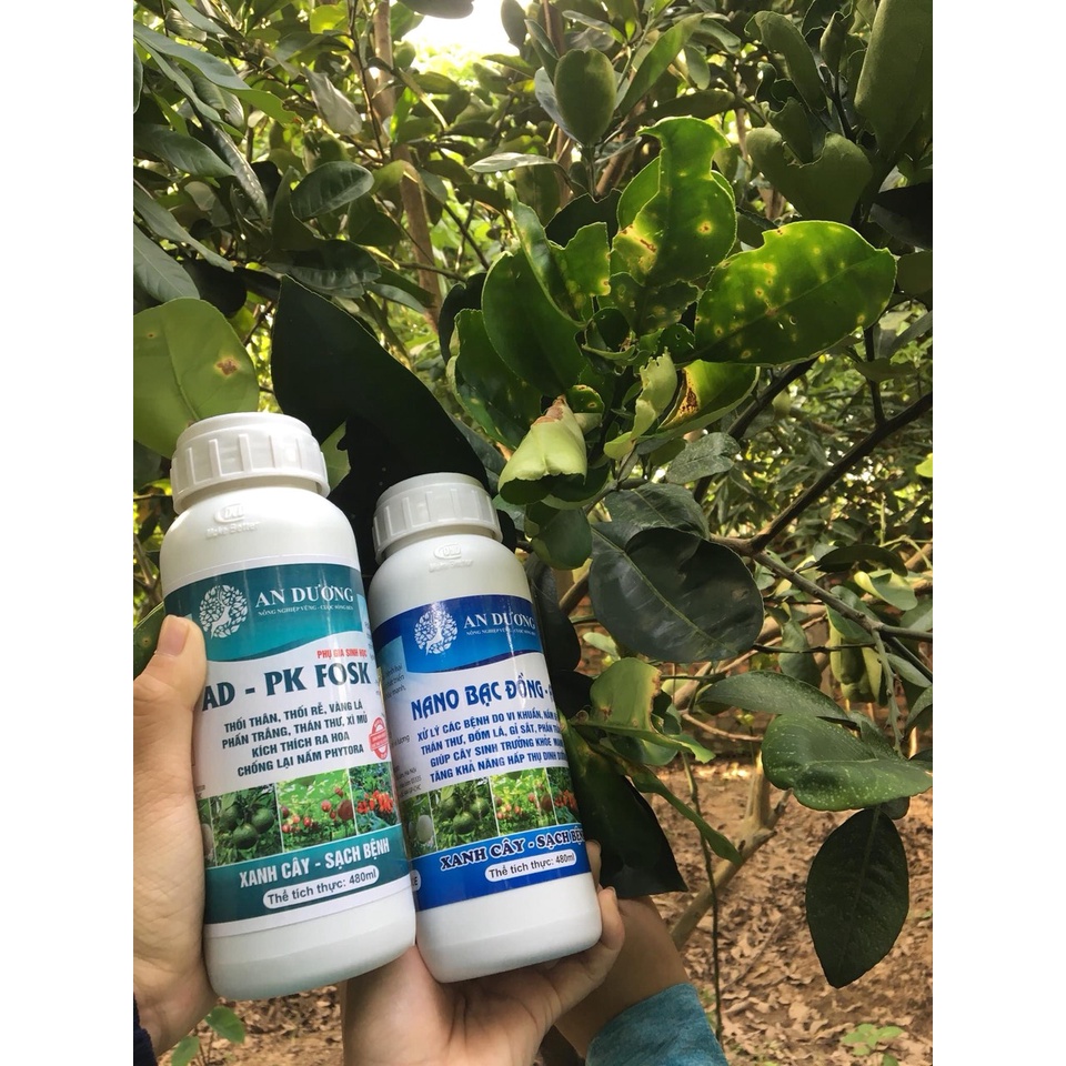 Bộ đôi An Dương xử lý nhanh thán thư, vàng rụng lá, thối trái, thân rễ, phấn trắng, héo xanh, sương mai 480ml