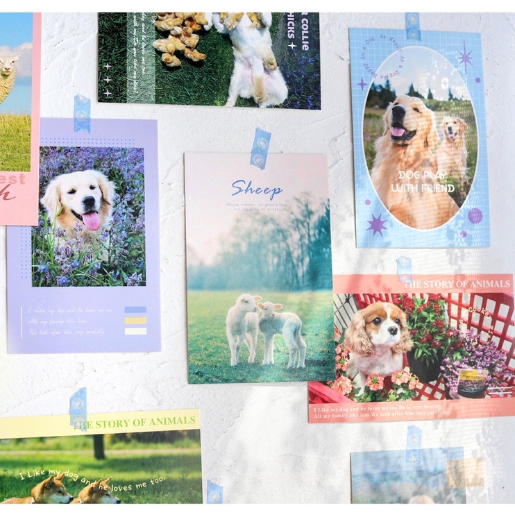 Postcard, thiệp chúc mừng những chú cún