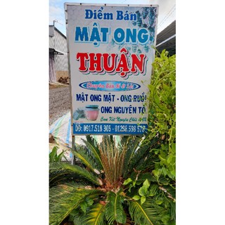 Mật ong rừng U Minh 100 ml