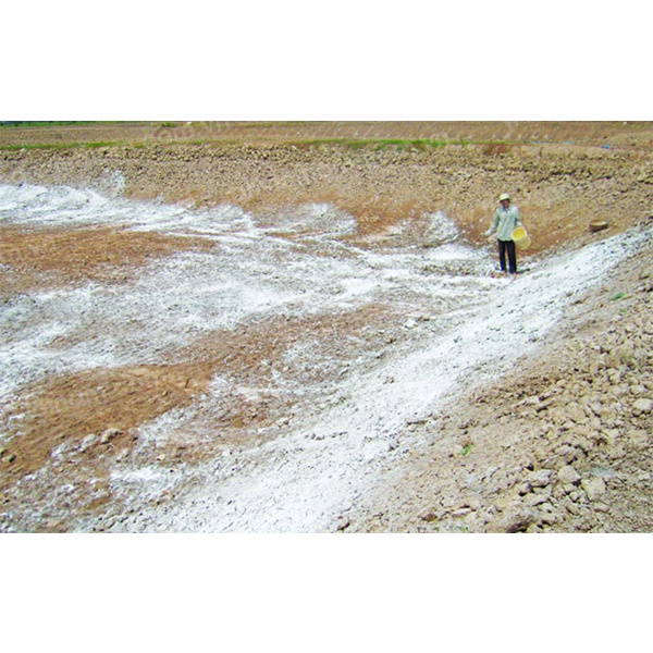 Vôi trung vi lượng Humic Cao-Vôi 35% gói 1kg
