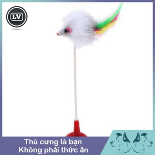 Đồ chơi vui nhộn cho mèo Đầu hút có gắn chuột Phụ kiện Long Vũ