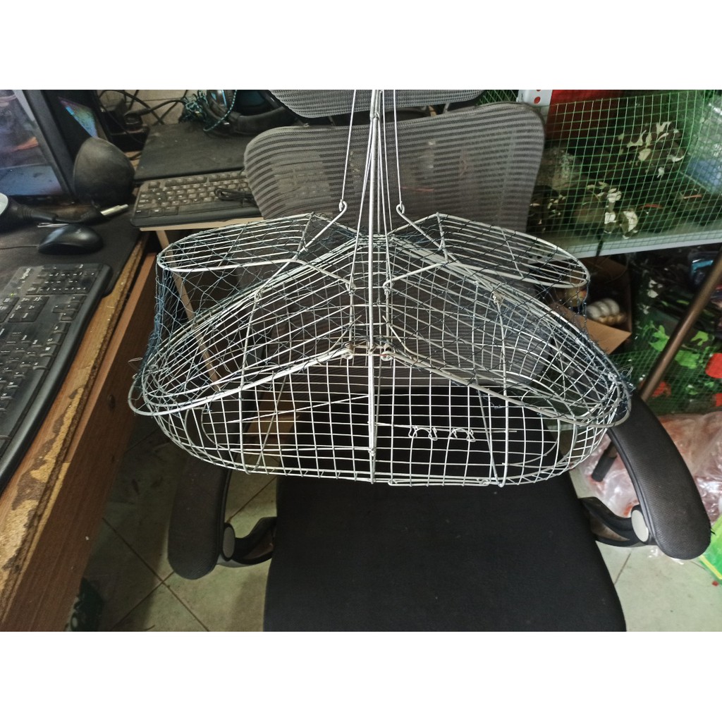 Lồng Bẩy Chim Bìm Bịp