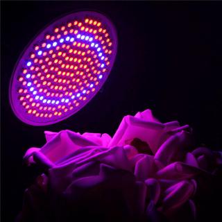 Đèn Led Trồng Cây E27 220v 200 Bóng
