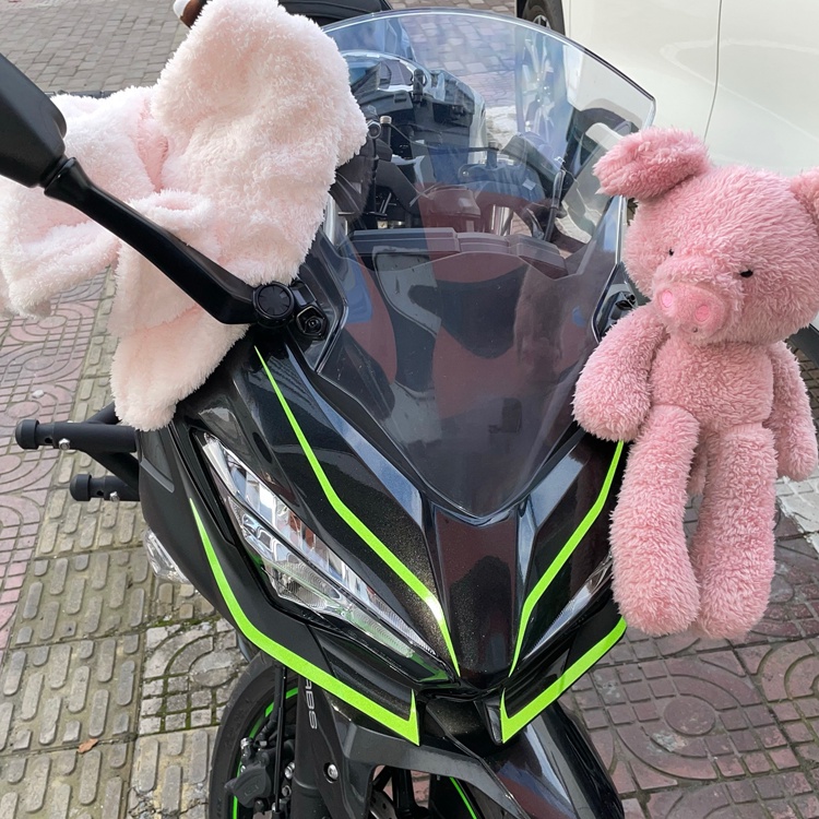 Hình dán xe máy Fairing Decal sửa đổi KAWASAKI Đối với Kawasaki Ninja 400 H2 H2SX