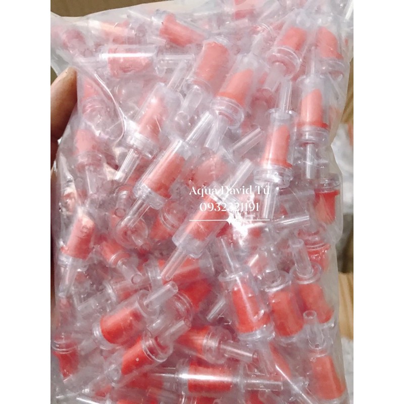 Van Sủi 1 Chiều Cho Bể Cá