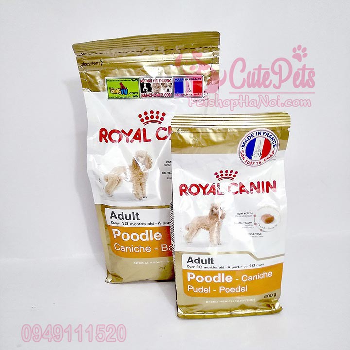 Hạt Royal Canin Poodle Adult 1.5kg Thức ăn dành cho chó lớn - Cutepets