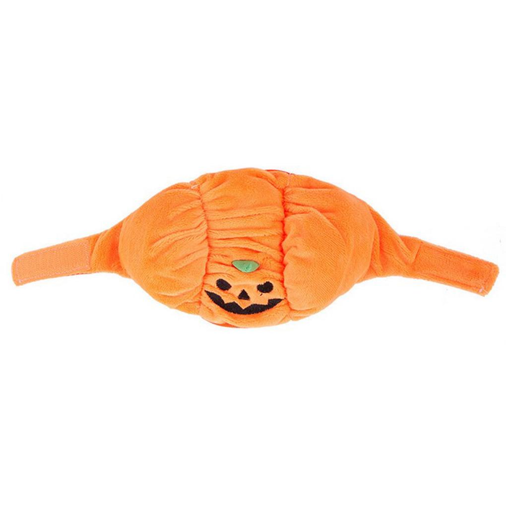 Mũ Bí Ngô Halloween Cho Thú Cưng
