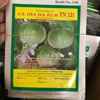 Cà dĩa da ếch