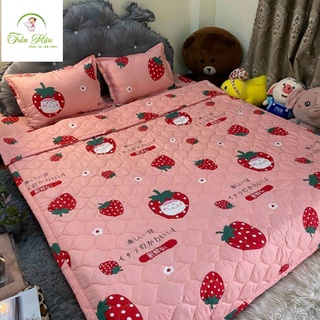 Bộ 5 món chăn hè thu trần bông poly cotton nhiều mẫu (Chát chọn mẫu)