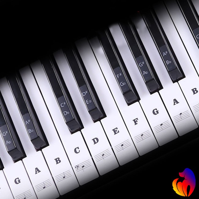 Miếng dán đánh dấu đàn piano điện 88 phím chất lượng cao