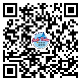 Cóng sứ chào mào, quai chạm