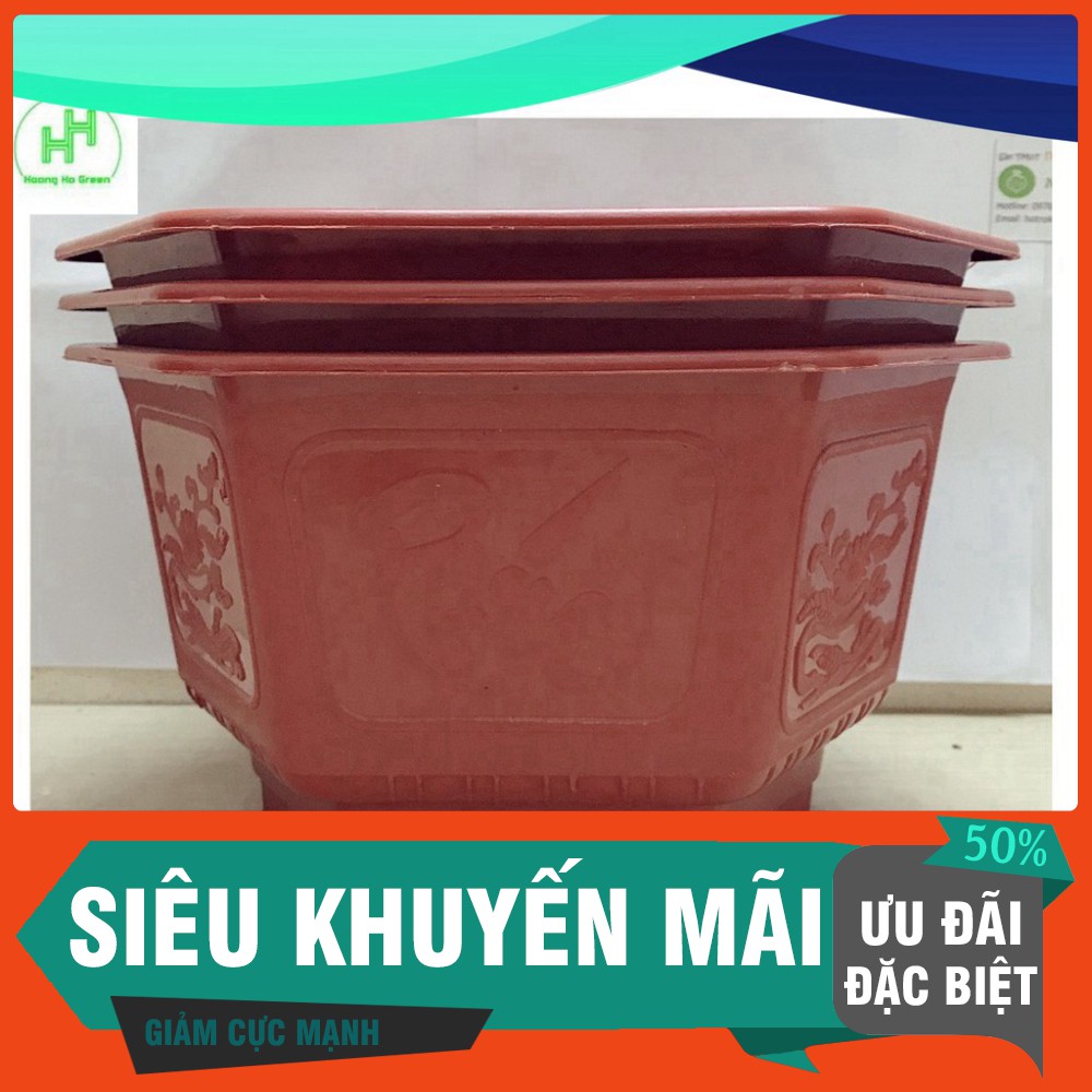 (Siêu Khuyến Mãi) 3 Chậu Nhựa Trồng Hoa, Cây Cảnh Lục Giác AFC :TH-250