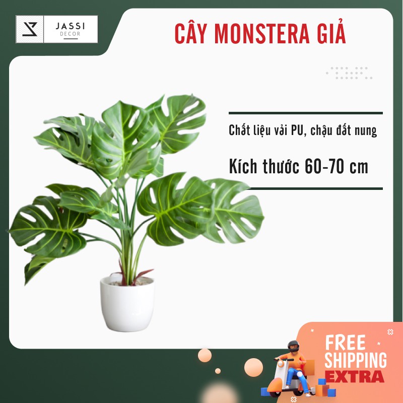 [Cây giả] Cây trầu bà lá xẻ giả - 70cm