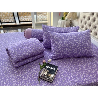 DRAP THUN HÀN QUỐC GIÁ HẤP DẪN