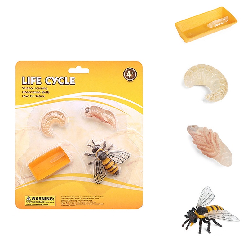 Mô Hình Côn Trùng Bằng Nhựa Đồ Chơi Giáo Dục Cho Bé