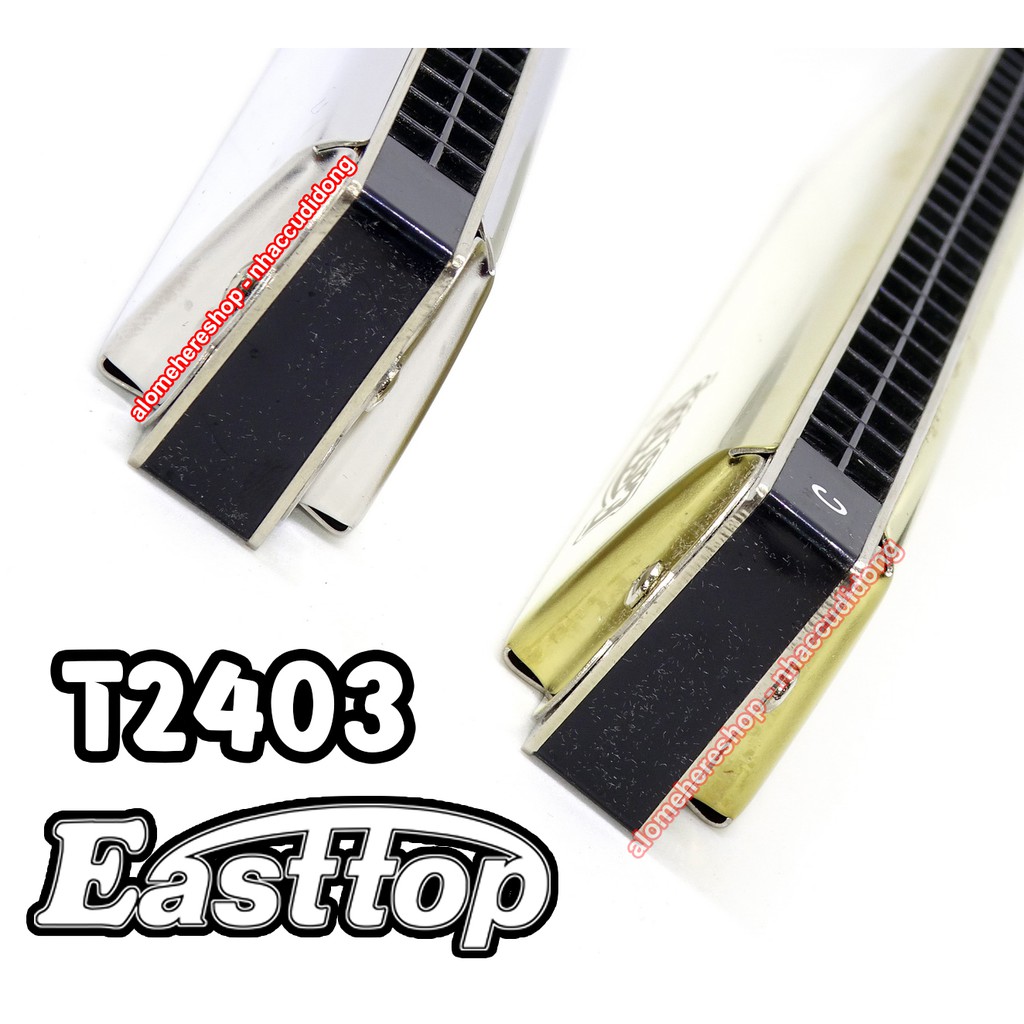 Kèn harmonica tremolo Easttop T2403 Key G