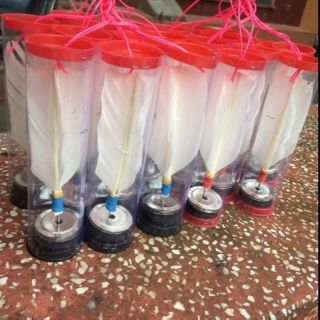 COMBO 10 cầu đá trinh sắt