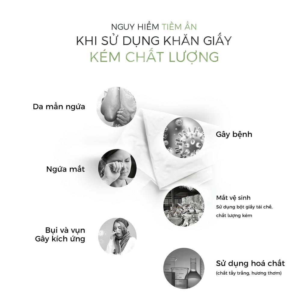 Giấy ăn FUDO 100% bột tre nguyên chất, không tạo mùi, không tẩy trắng