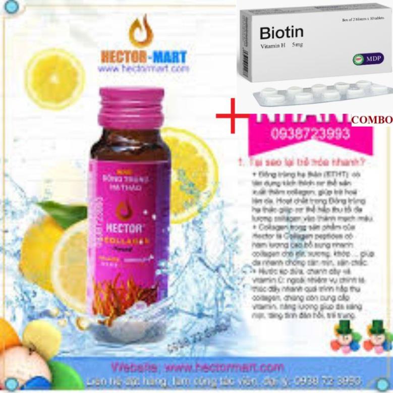 Combo Biotin 5mg+ Đông trùng hạ thảo Hector hộp 10 chai x 50ml