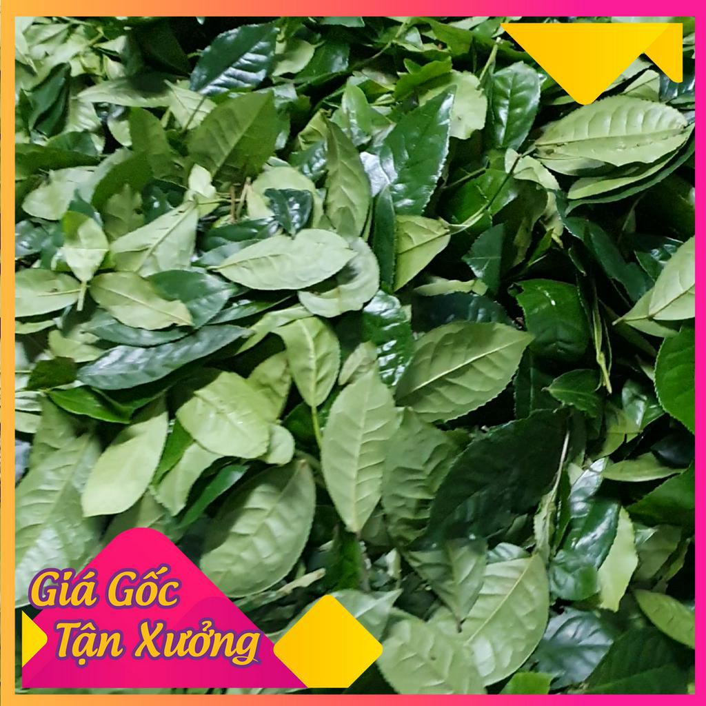 Bột Mat Cha trà xanh nguyên chất thái nguyên - Tốt cho sức khỏe - Làm Đẹp - Làm đồ  ăn
