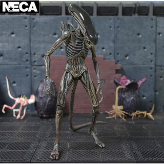 Mô hình Alien Contract Xenomorph - AVP Ailen vs Predator