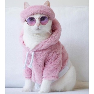 [2 size] Kính Tròn Đeo Đủ Màu cho Chó Mèo Thú cưng Siêu Ngầu 😎