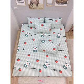 2.Ga GỐI LẺ COTTON LỤA (ẢNH CHỤP THẬT )