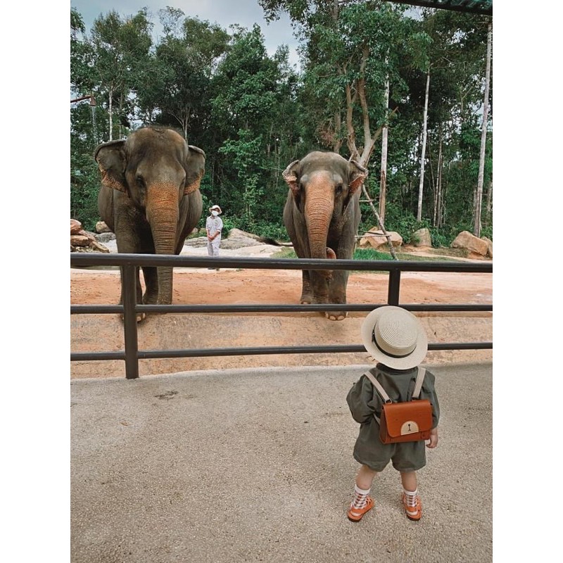 Balo gấu xinh xắn Kids Korea