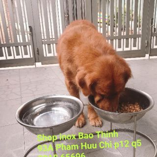 Bát ăn đôi inox cao 25cm dành cho chó