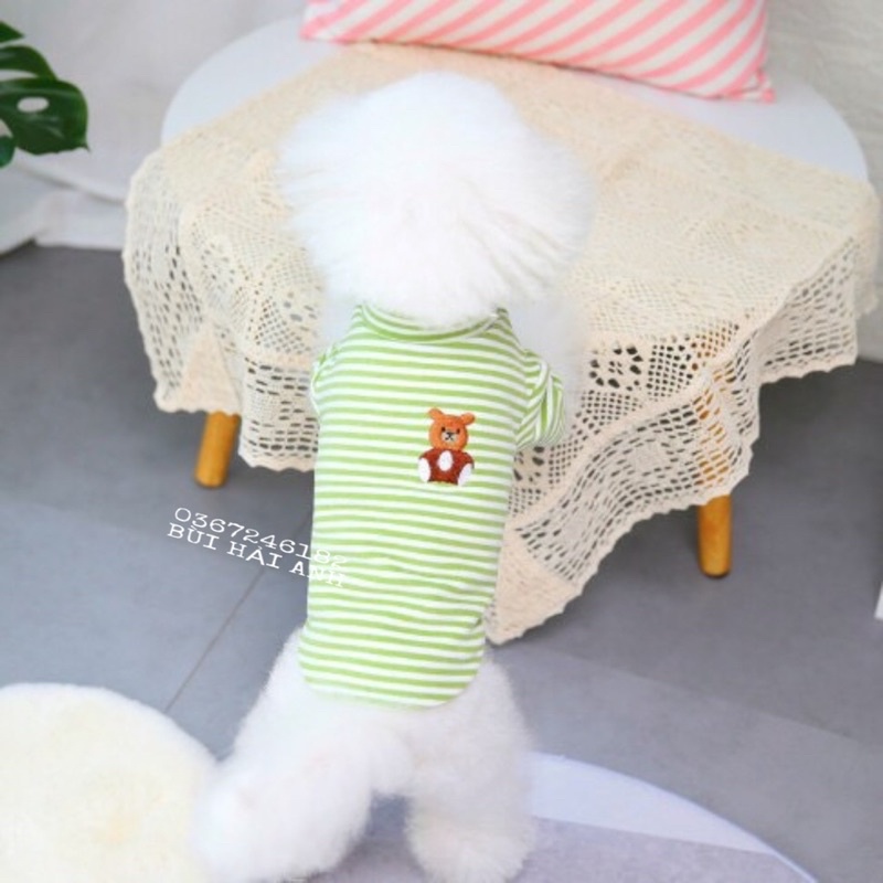 Áo nỉ cổ cao kẻ ngang