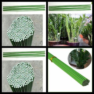 Que lõi sắt bọc nhựa dùng cố định hoa lan cây cảnh