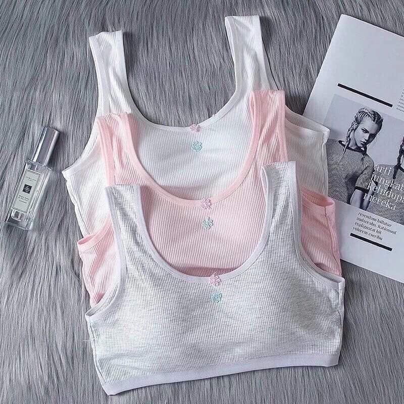 Áo lót tăm học sinh quai to về đủ 3 màu