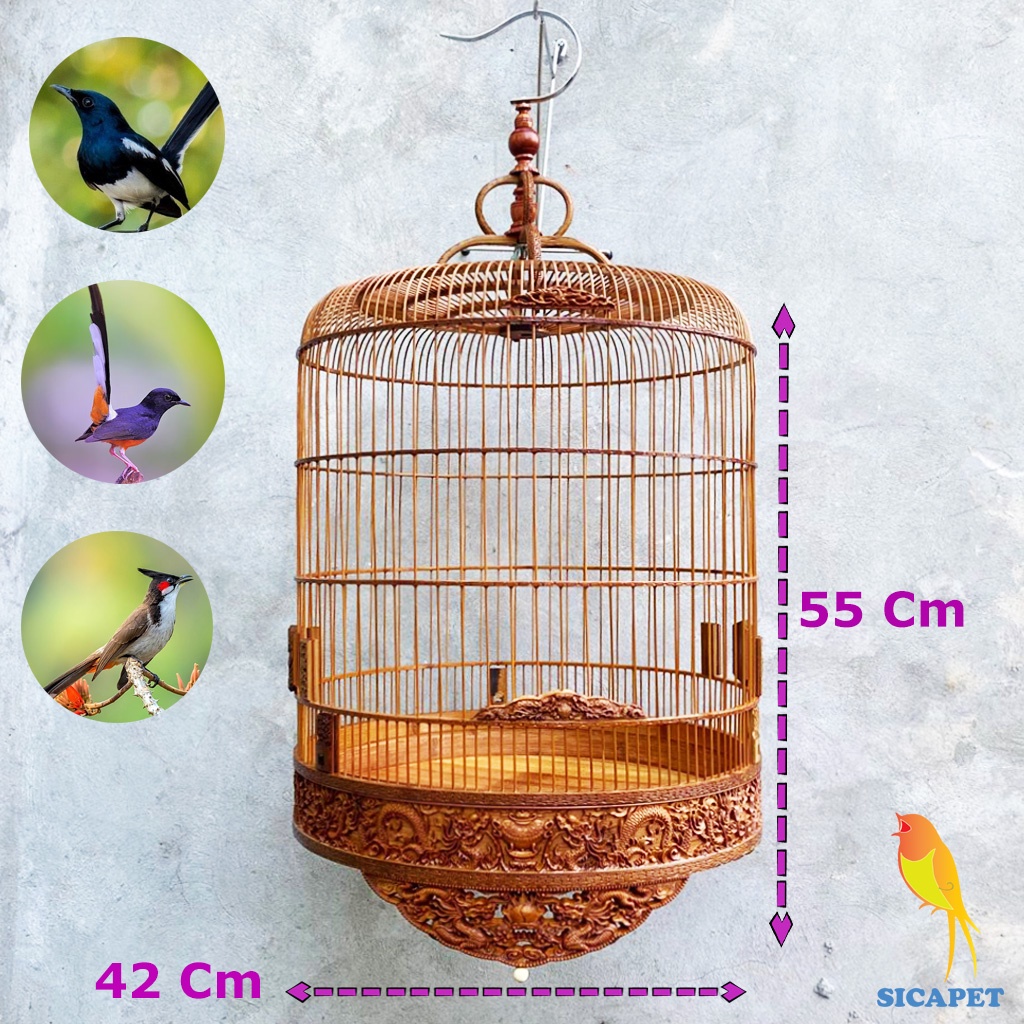 Lồng chim chòe than, chim chòe lửa, chim chích chòe, chim chào mào, Lồng nuôi chim chòe than, chim chòe lửa SICAPET