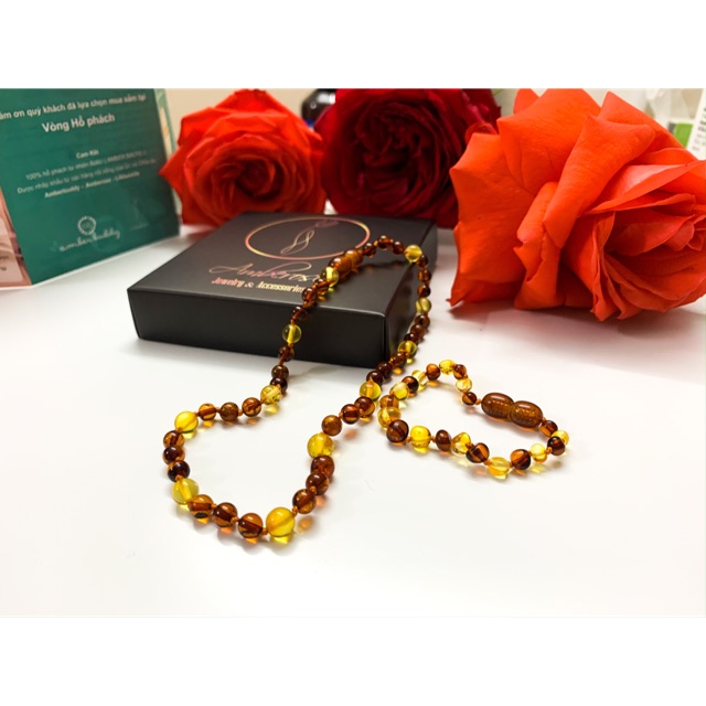 Bộ Amber Úc cho bé 0-12 tuổi