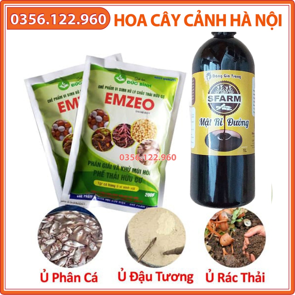 Combo 1 chai mật rỉ đường + 2 gói Emzeo để ủ cá, đậu tương, xử lý mùi hôi - Shop hoa cây cảnh Hà Nội