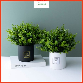 Chậu cây kim tiền giả để bàn làm việc, bàn học, trang trí giá sách, kệ tủ xanh mát Anhome CKT-02