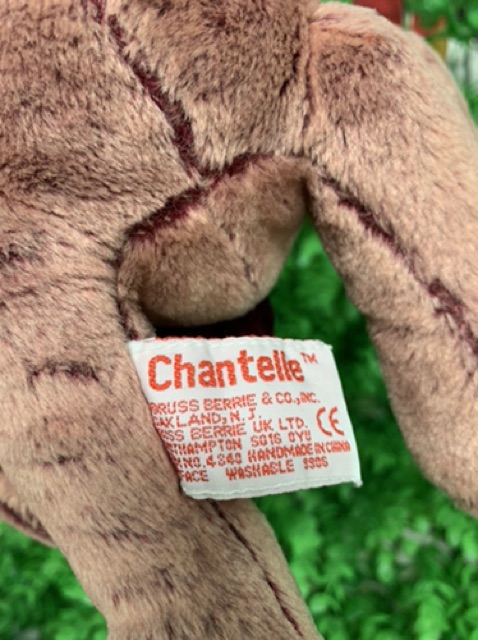 Gấu bông teddy lông 2 da màu lạ