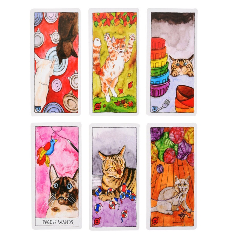 Bộ Bài Tarot 12x7cm 4 72x2 75 Inch In Hình Mèo Và Chữ Tiếng Anh Độc Đáo