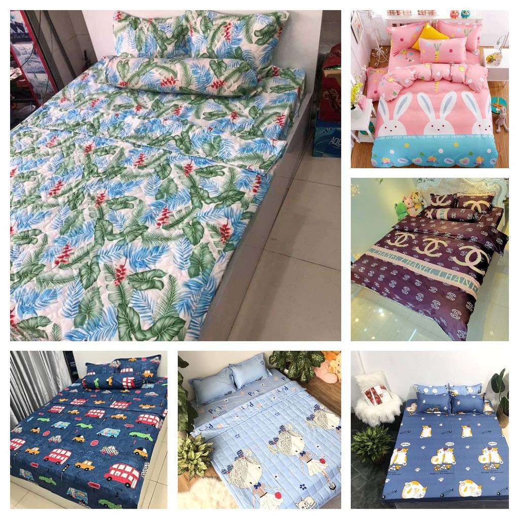 Ga giường bo chun cotton Poly Hàn Quốc 1m2x1m9,1m4x2m MẪU NGẪU NHIÊN