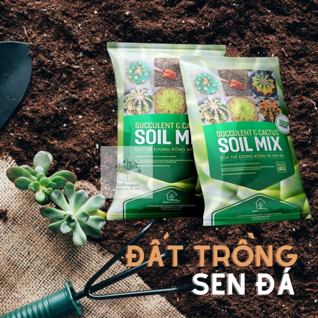 Đất trồng sen đá trộn sẵn, Soil mix - Bao 6kg trộn sẵn - Tiệm Thường Xuân