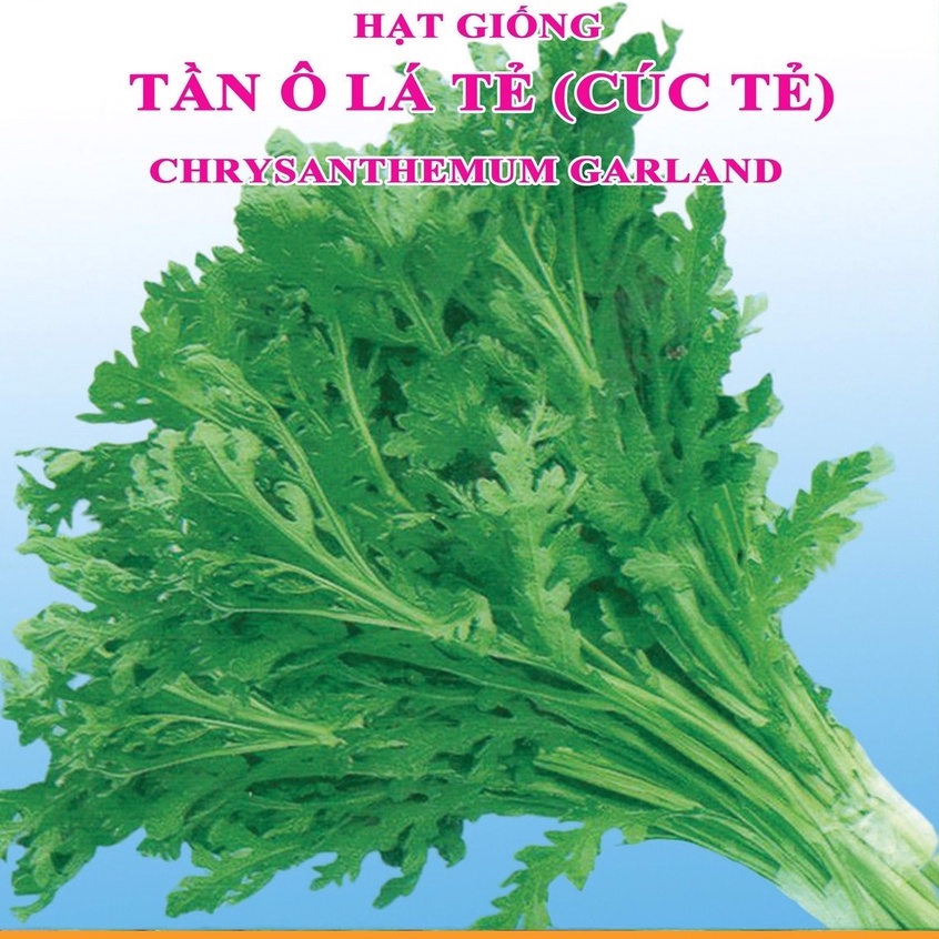 10Gram Hạt giống cải cúc tẻ (rau tần ô)
