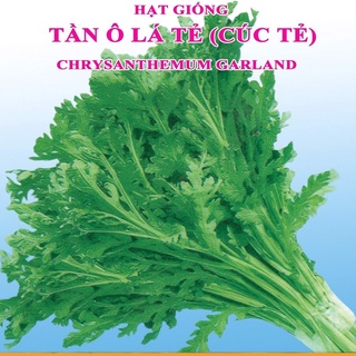 10Gram Hạt giống cải cúc tẻ